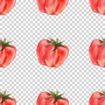 Seamless watercolor pattern with ripe tomatoes. Hand-painted vegetables Stock Illustration