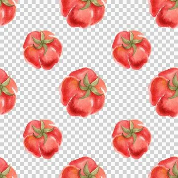 Seamless watercolor pattern with ripe tomatoes. Hand-painted vegetables Stock Illustration