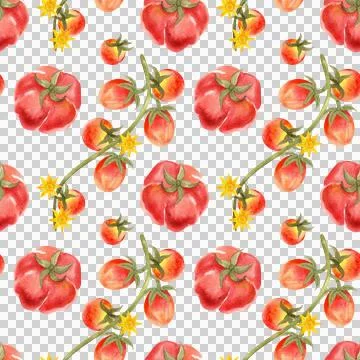Seamless watercolor pattern with ripe tomatoes. Hand-painted vegetables 스톡 일러스트