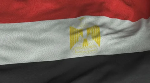 Seamless Waving Egyptian Flag with Fabric Texture Stock Footage 7728056