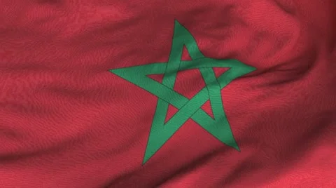 Seamless Waving Moroccan Flag with Fabric Texture Stock Footage 7728174