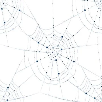 Seamless web texture with water drops. Stock Illustration