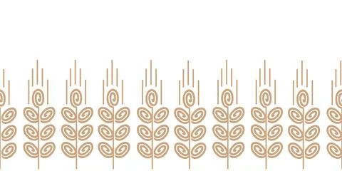 Seamless wheat or barley background isolated vector. Doodle hand drawn Stock Illustration