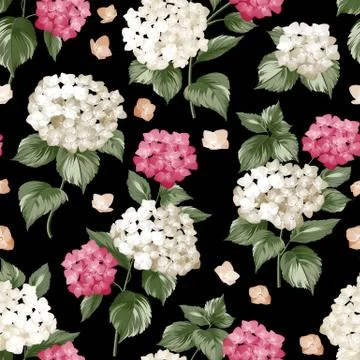 Seamless white flowers pattern Illustrazione stock