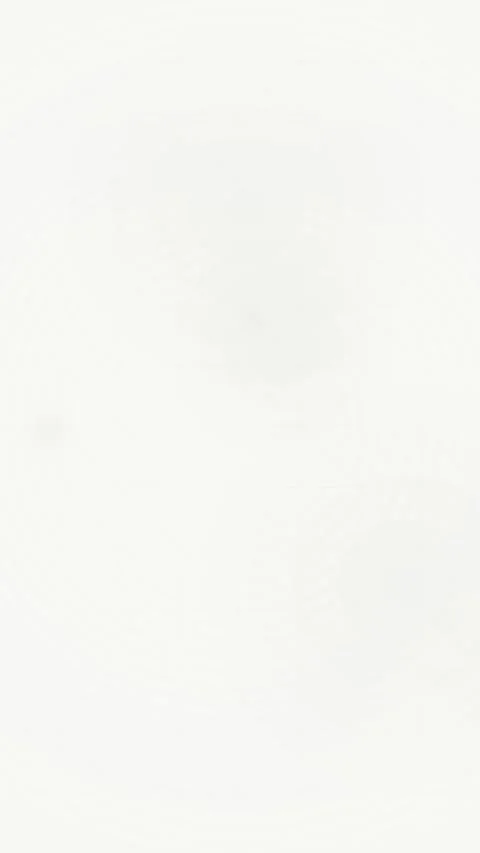 Seamless White Grid Texture Background - Clean Minimalist Geometric Pattern Stock Footage 347697404