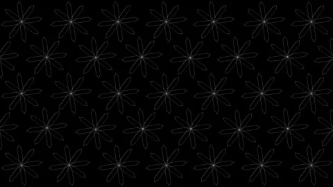 Seamless white pattern animation5 Stock Footage 314143152