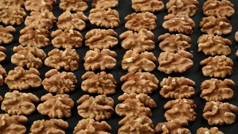 Seamless Whole Walnuts Pattern Harmonious Diffused Light Macro Texture Видео 332522229