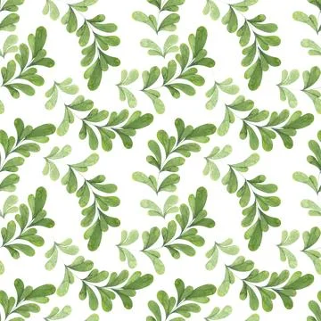 Seamless wild grass pattern. Green lingonberry leaves. Botanical illustration Stock Illustration