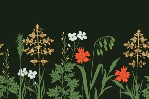 Seamless wild herbs Illustrazione stock