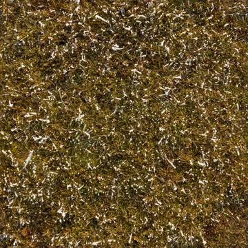 Seamless winter grass texture Stock Photos