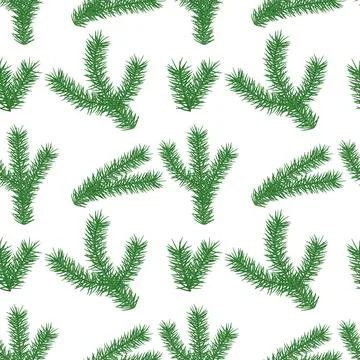 Seamless winter pattern with christmas tree branches on white background. Rep Stock Illustration