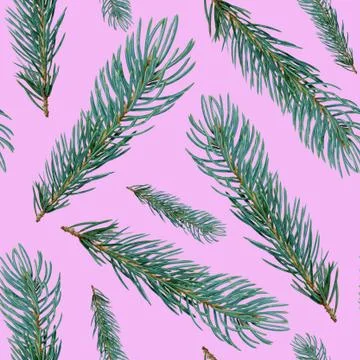 Seamless winter pattern of fluffy fir branches on a pink background Illustrazione stock