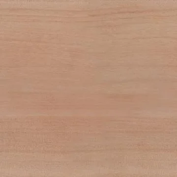 Seamless wood tree texture Stock Photos