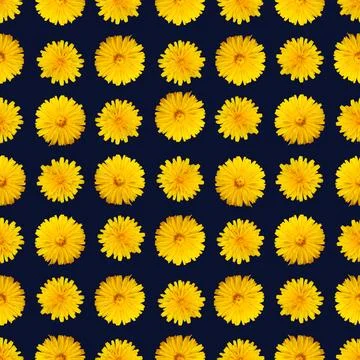 Seamless Yellow Dandelion Pattern on Dark Blue Background Stock Illustration