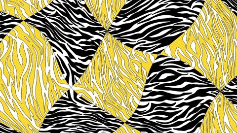 Seamless young animation of psychedelic zebra print with duotono colors.Art Stock Footage 110904450