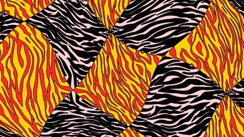 Seamless young animation of psychedelic zebra print with duotono colors.Art Stock Footage 110906217