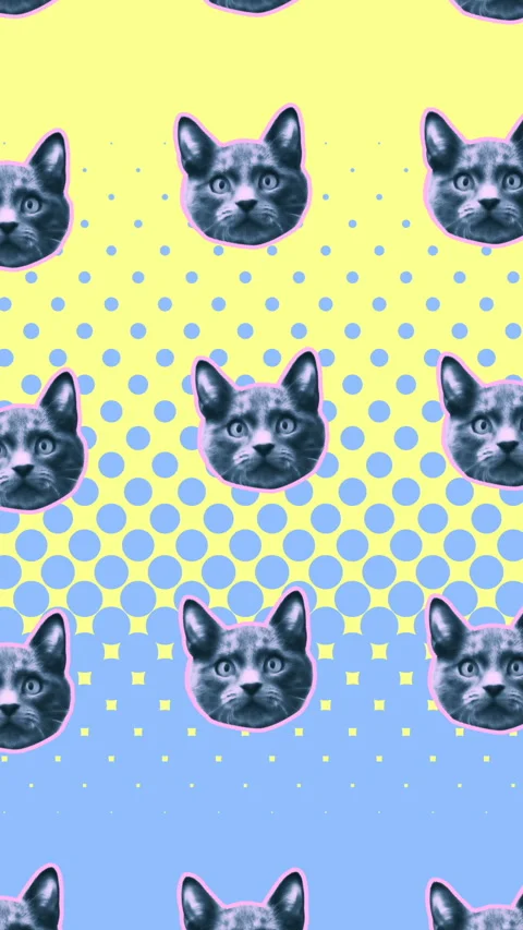 Seamless young vertical video of cartoon style cats with duotono colors isolated Stock Footage 340558527