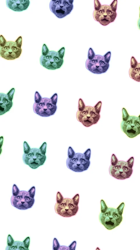 Seamless young vertical video of cartoon style cats with duotono colors isolated Stock Footage 340628085