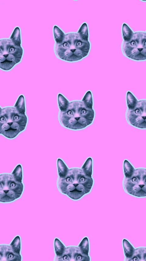 Seamless young vertical video of cartoon style cats with duotono colors isolated Stock Footage 340630124