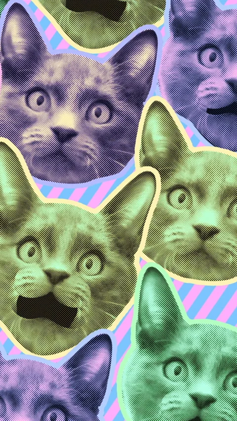 Seamless young vertical video of cartoon style cats with duotono colors. Stop Vidéo 340637338