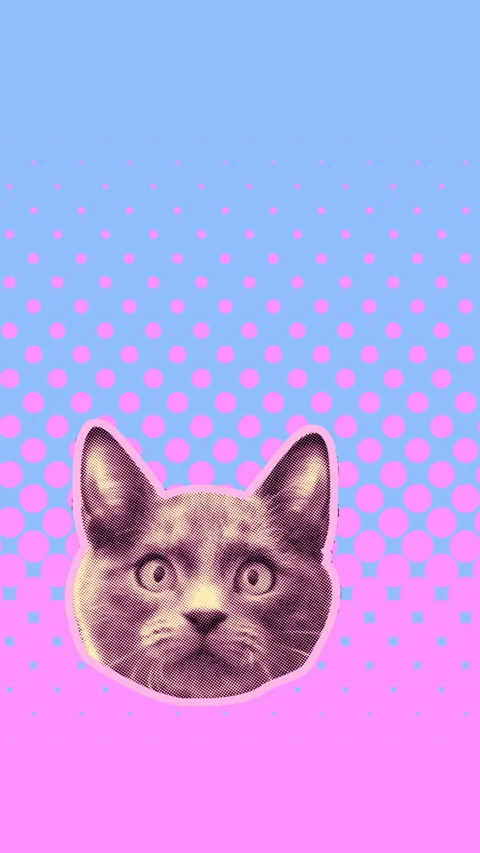 Seamless young vertical video of cartoon style cats with duotono colors isolated Stock Footage 340637531