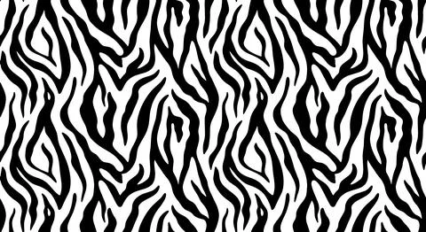 Seamless Zebra Animal Print Pattern With Bold Black And White Organic Stripes Stock Illustration