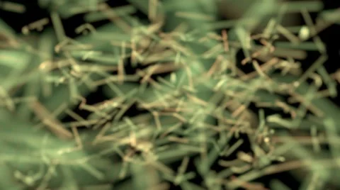 Seamlessly loopable abstract biological background with alpha Stock Footage 7980846