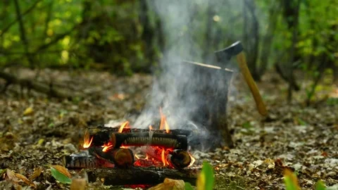 Seamlessly Looping Bushcraft Campfire with Axe by Tree Stump Video stock 344031124