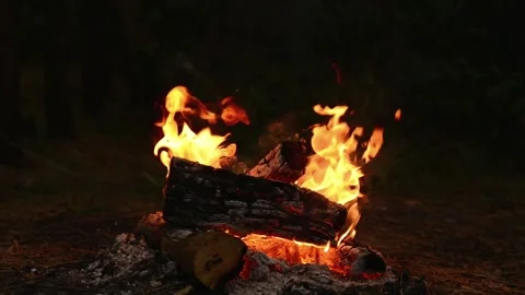 Seamlessly Looping Campfire with Bright Blazing Flames Loop Footage Video stock 344031083
