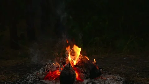 Seamlessly Looping Campfire with Bright Flames and Glowing Embers Loop Video stock 344031063