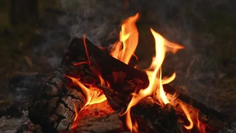 Seamlessly Looping Campfire with Bright Flames and Hot Coals Loop Stock-Footage 344031107