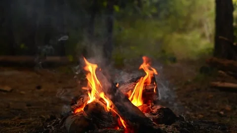 Seamlessly Looping Campfire with Bright Flames and Warm Embers Loop Stock-Footage 344031122