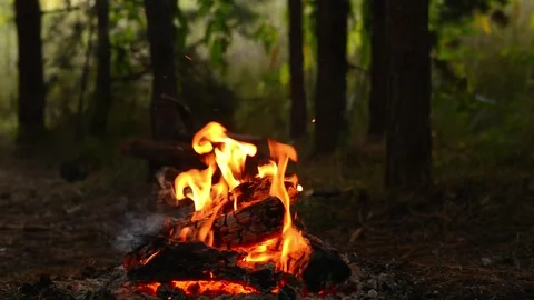 Seamlessly Looping Campfire with Dense Smoke in Forest Loop Footage Video stock 344031074