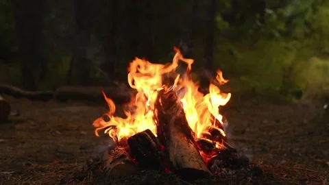 Seamlessly Looping Campfire with High Dancing Flames Loop Footage Stock Footage 344031082