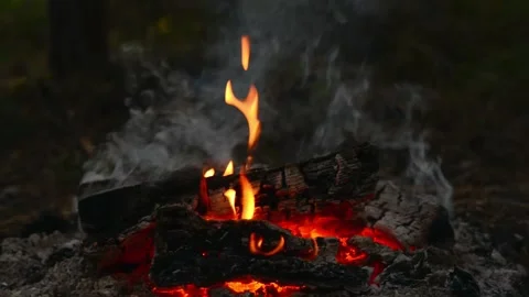 Seamlessly Looping Campfire with Smoke and Glowing Embers Background Video stock 344031076