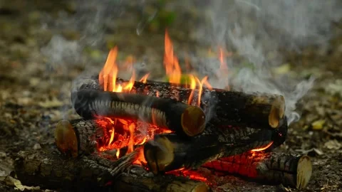 Seamlessly Looping Campfire with Smoke and Glowing Coals Loop Stock Footage 344031108