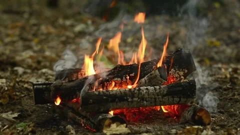 Seamlessly Looping Campfire with Smoldering Logs Loop Footage Video stock 344031105