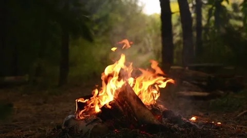 Seamlessly Looping Campfire with Sparks and Glowing Embers Loop Video stock 344031097