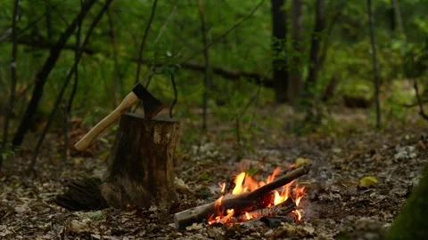 Seamlessly Looping Campfire by Tree Stump with Axe in Forest Loop Stock-Footage 344031101