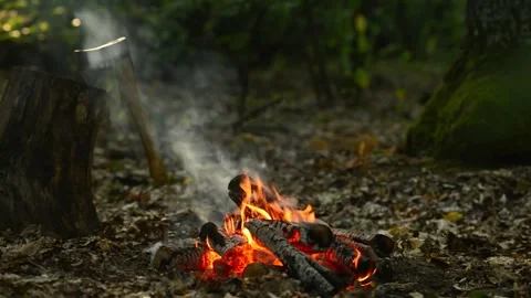 Seamlessly Looping Campfire by Tree Stump with Axe Loop Footage Stock Footage 344031106