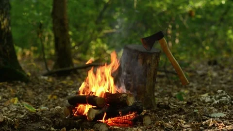 Seamlessly Looping Campfire by Tree Stump with Axe in Forest Loop 動画素材 344031121
