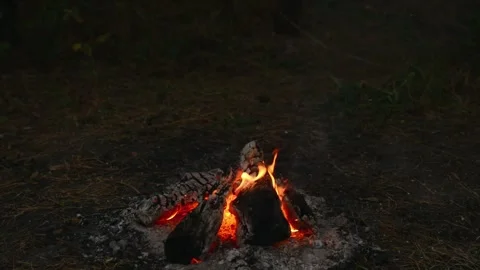 Seamlessly Looping Campfire with Vivid Flames and Glowing Embers Stock-Footage 344031085