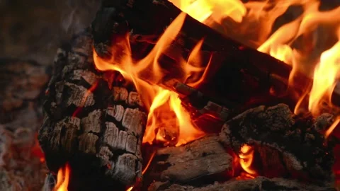 Seamlessly Looping Campfire with Vivid Flames and Glowing Coals Loop Video stock 344031119