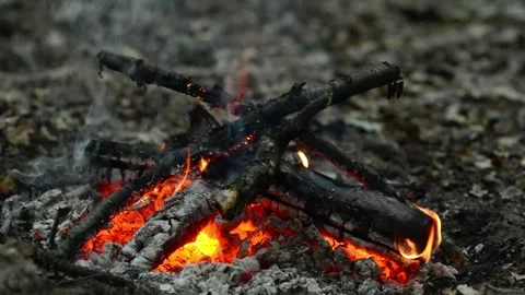 Seamlessly Looping Charred Logs and Burning Coals Stock Video Loop Stock Footage 344031112