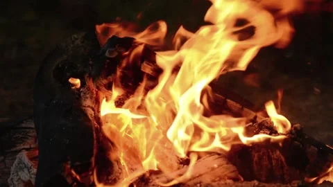 Seamlessly Looping Cozy Campfire Flames and Hot Embers Stock Loop Stock Footage 344031133