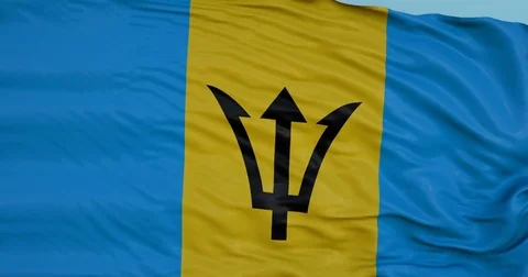 Seamlessly Looping flag for Barbados, blowing beautifully in the wind. Vídeos de archivo 80975410