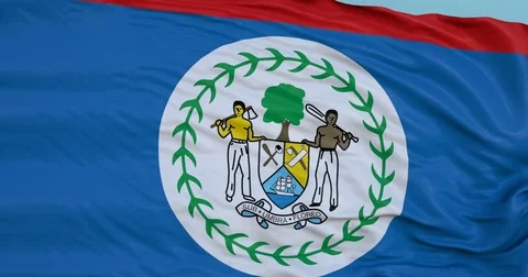 Seamlessly Looping flag for Belize, blowing beautifully in the wind. Slo-Motion. Stock Footage 80976070