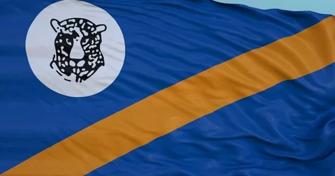 Seamlessly Looping flag for Bophuthatswana, blowing beautifully in the wind. Stock-Footage 80976954