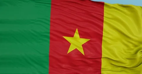 Seamlessly Looping flag for Cameroon, blowing beautifully in the wind. Video stock 80977317