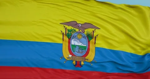 Seamlessly Looping flag for Ecuador , blowing beautifully in the wind. Stock Footage 80976500